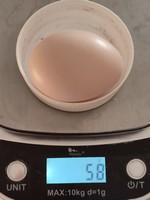 Nestis Ei am 7.9.